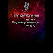 Тунги Аспанда Журегимиз Сырласкан Караоке