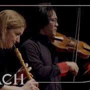 Concerto For Oboe Violin Or 2 Violins Strings Continuo Reconstruction