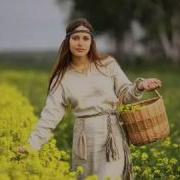 Синяя Птица Подорожник