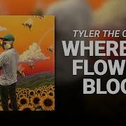 Where This Flower Blooms Tyler The Creator