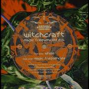 Magic Frequencies Witchcraft Whale