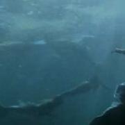 Подводное Царство Музыка