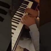 Митя Фино