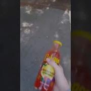 Меме Calypso
