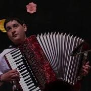 Молдавський Народний Танець Жок Акордеон