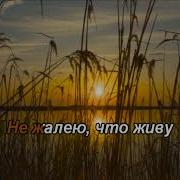 Утинная Охота Минус
