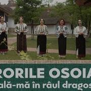 Spala Ma In Raul Dragostei