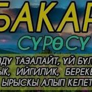 Уй Тазалоочу Дубалар