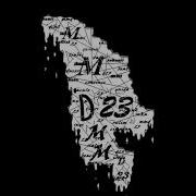 Shineva23 D23 Diferit