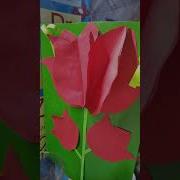 Пародия На Червону Калину