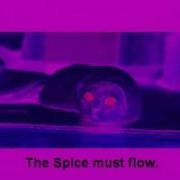 Eon The Spice Must Flow