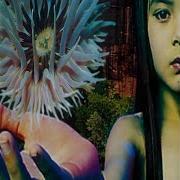 Omni Presence