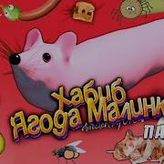 Песня Мышка Сосиска