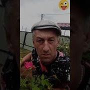 Понюхай У Меня И Будет Стоять Неделю