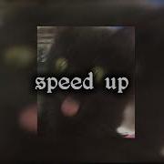 У Меня Живёт Культурный Кот Speed Up