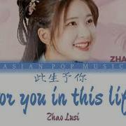 For You In This Life Zhao Lusi