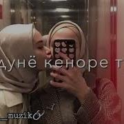 Шер Барои Рузи Тавалуд Я Хохаре Дорам