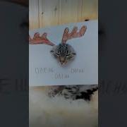 Тут Батут И Розы