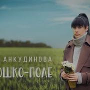 Диана Анкудинова Поля