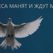 Небеса Манят И Ждут Меня