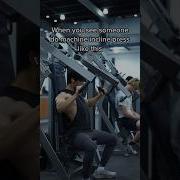 What Height Should A Hammer Strength Incline Press Be Tylerpath