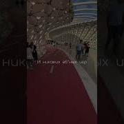 У Меня Была Мечта И Никаких Игр