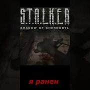 Я Ранен Сталкер