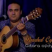 Gitara Aydymlary