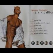Wayne Samuels I M A Callboy