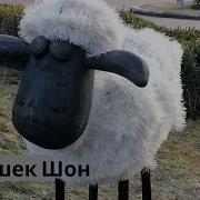 Black Cock Смотреть Песенку Мультик По Полям