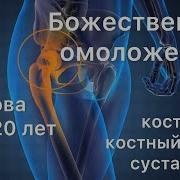 Настрой Сытина Исцеление Костного Мозга