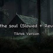 Hide The Soul Slowed Reverb