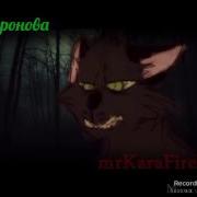 Коты Воители Lvypool And Hollyleaf
