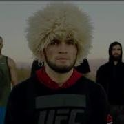 Орёл Песня О Хабибе Нурмагомедове Александр Маршал