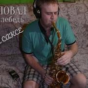 Кавер Сакс Белый Лебедь