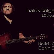 Haluk Tolga I Lhan Kağızman A Ismarladım Nar Gele Haluk Tolga Ilhan