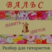 Вальс Память Цветов На Гитаре