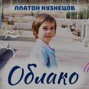 Платон Кузнецов