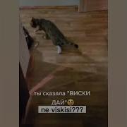 Вискас Со Счасливым Котом