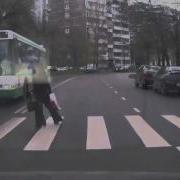 Курица Не Птица