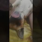 Вот Смотрю На Тебя И Так Хочется В Щёчку Поцеловать