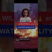 Fresh Drop Wildfire