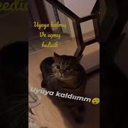 Uyuya Kaldım
