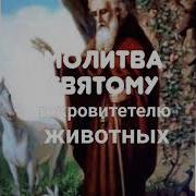 Молитва Святому Власию О Животных
