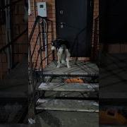 Если Любишь Отпусти