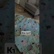 Утром Встал Уже Устал