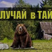 Рассказы Охотников Про Медведей