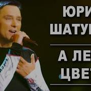 Шатунов А Лето Цвета 2019