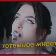 Татемное Животное Марина