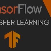 Tensorflow Tutorial 11 Transfer Learning Fine Tuning And Tensorflow Hub Aladdin Persson